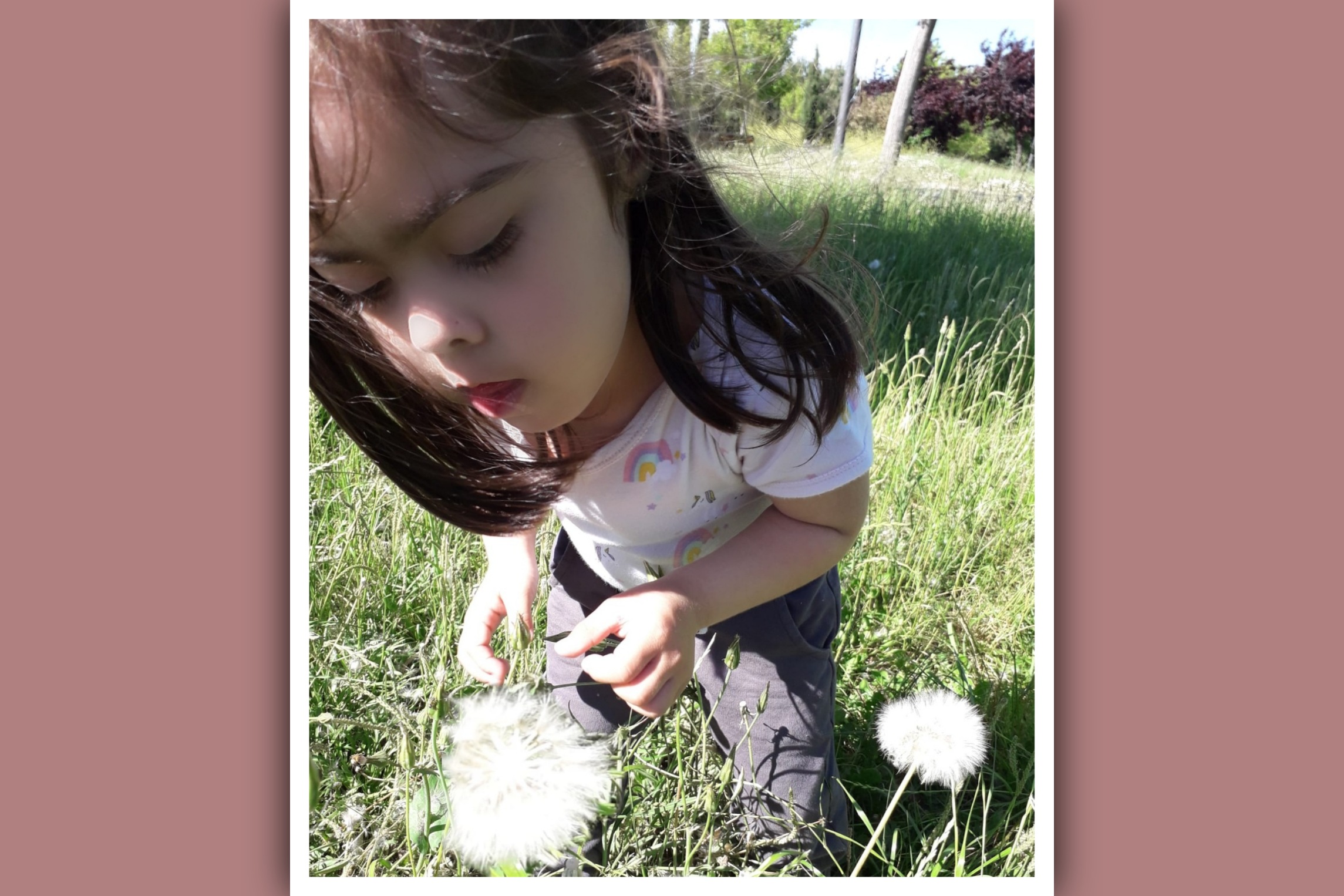 niña con sindrome de down en el campo mirando una flor
